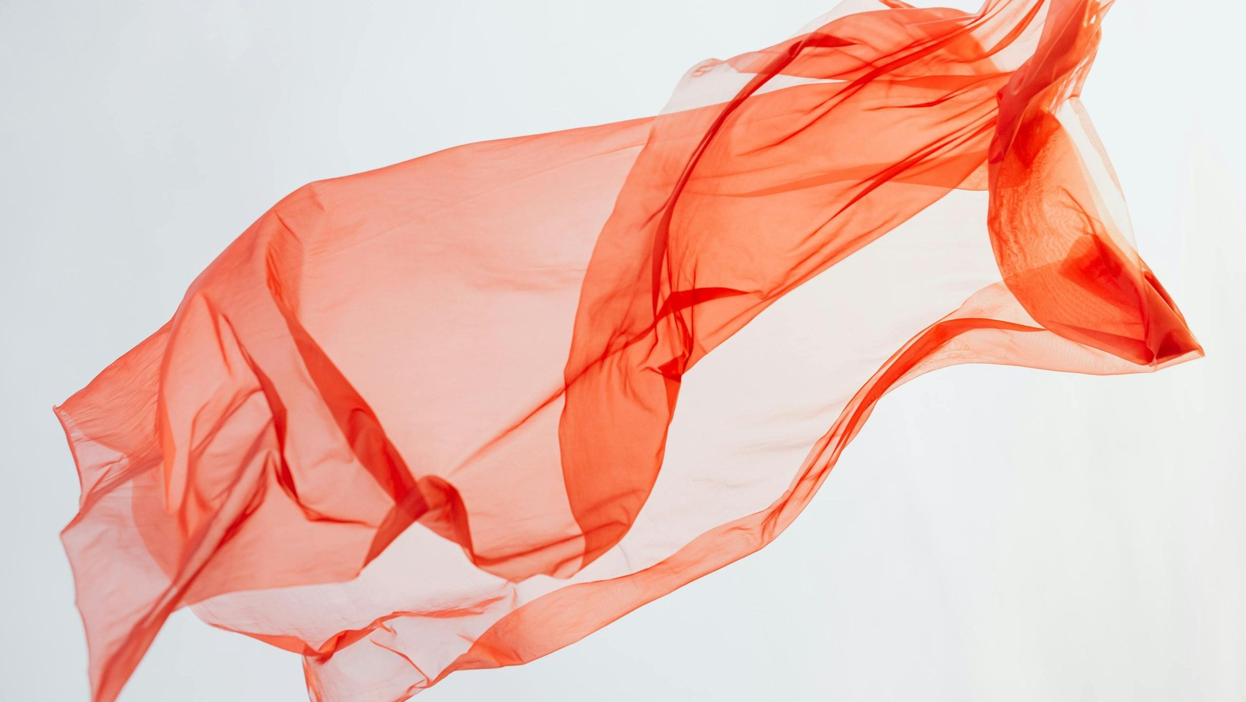 Top 5 Tips to Achieve the Perfect Silk Press